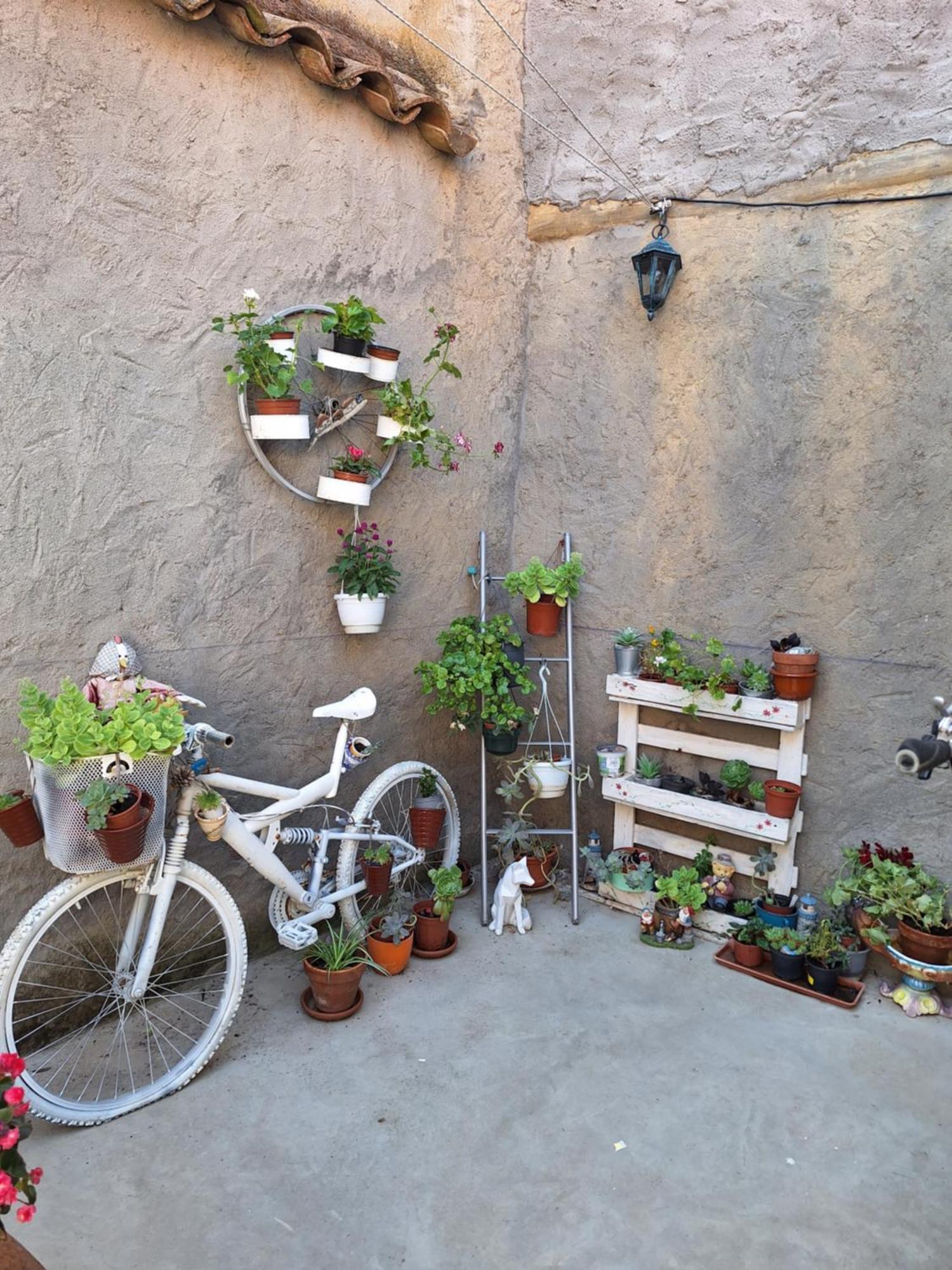Casa Pita Siente Paz Y Calma En Un Lugar Con Encanto Bbc Btt Ninos Pets Villa San Justo de la Vega Ngoại thất bức ảnh